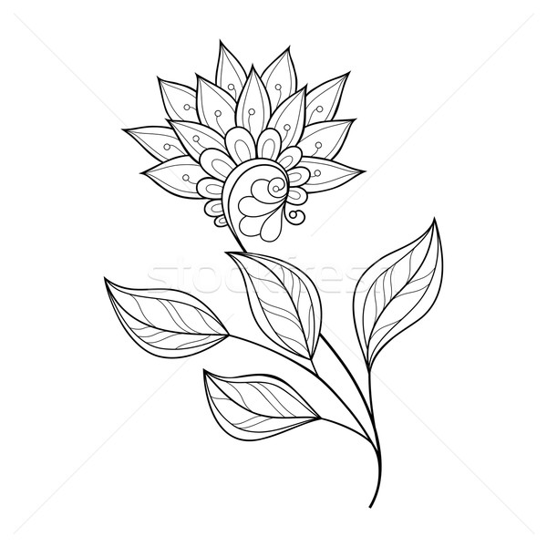 Foto stock: Vector · hermosa · monocromo · vector · de · la · flor · flor