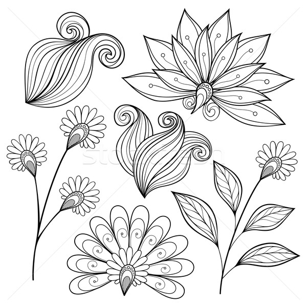 Vector Set of Monochrome Contour Flowers and Leaves Stock photo © lissantee