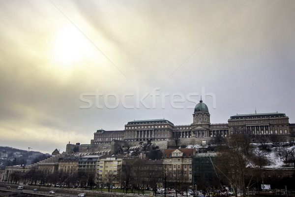 ロイヤル 城 表示 ブダペスト ハンガリー ストックフォト © LIstvan