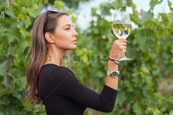 Stock foto: Weinprobe · touristischen · Frau · Freien · Porträt · schönen