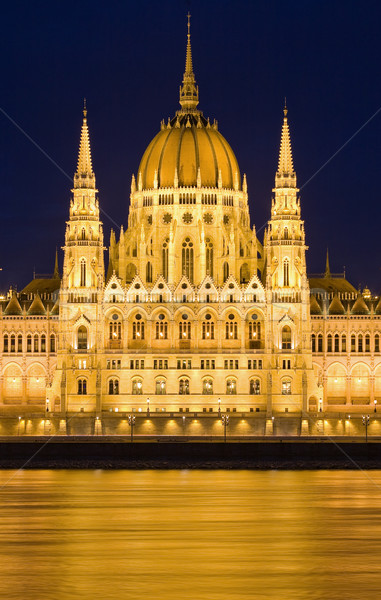 Arquitetura histórica dourado luzes noite húngaro parlamento Foto stock © lithian