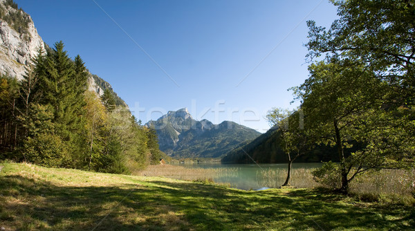 Beautiful autumn landscape in the Alps. Stock photo © lithian