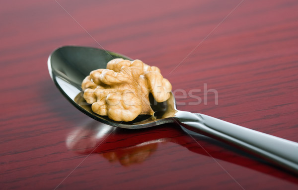 Tasty walnut. Stock photo © lithian