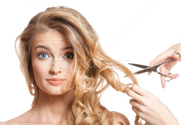 Blond beauty with amazing hair. Stock photo © lithian