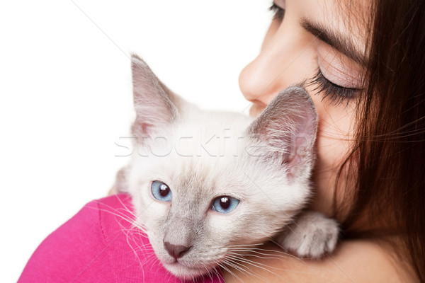 Stockfoto: Brunette · schoonheid · cute · kitten · portret · mooie