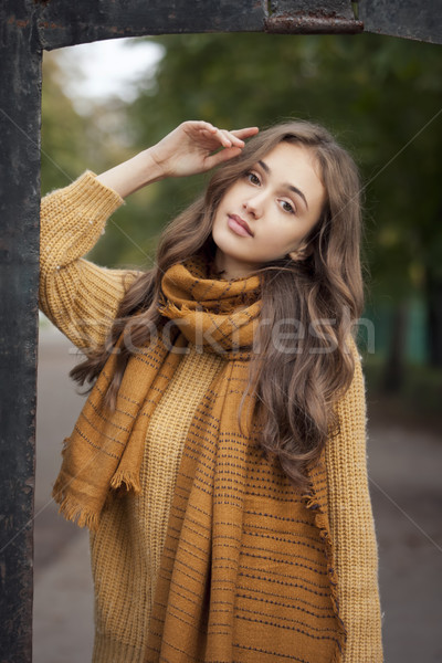 Barna hajú szépség ősz ruházat portré fiatal Stock fotó © lithian
