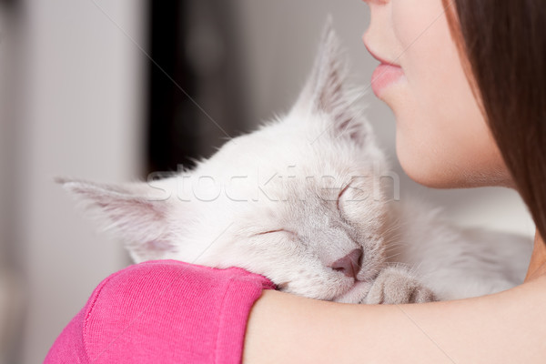 Brunette schoonheid cute kitten portret mooie Stockfoto © lithian