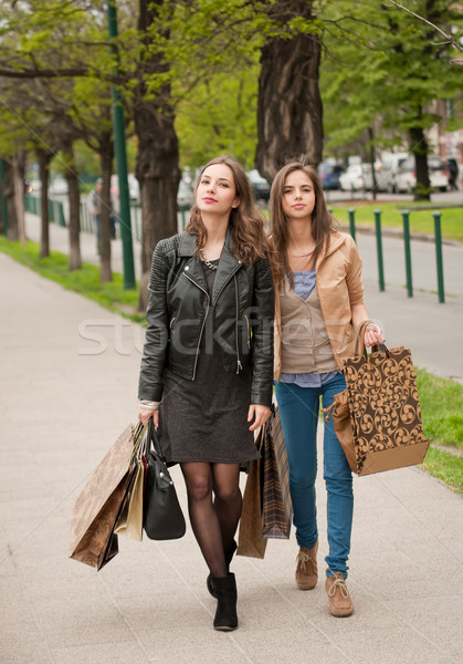 Shopping spree. Stock photo © lithian