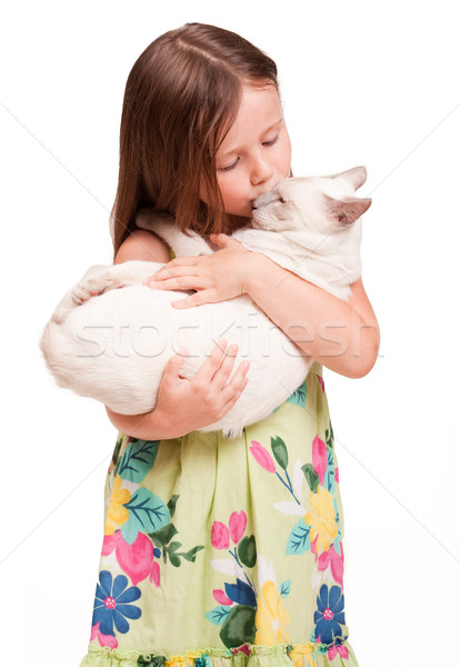Bella giovane ragazza cat ritratto gatto siamese Foto d'archivio © lithian