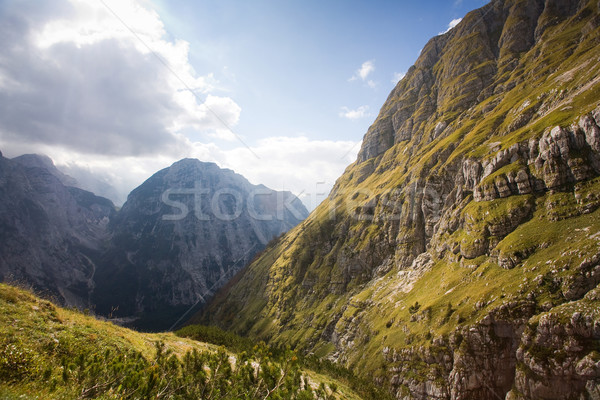 Hermosa alpes paisaje escena alrededor Foto stock © lithian