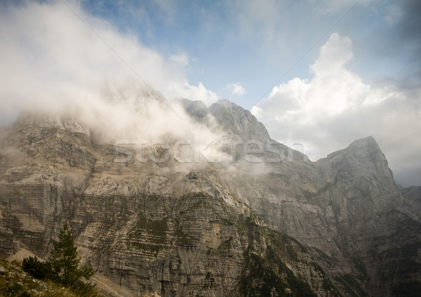 Hermosa alpes paisaje escena alrededor Foto stock © lithian