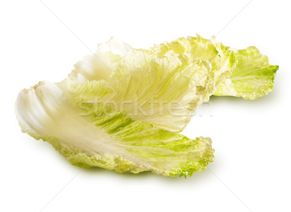 Fresh cabbage leaves isolated on white Stock photo © lithian