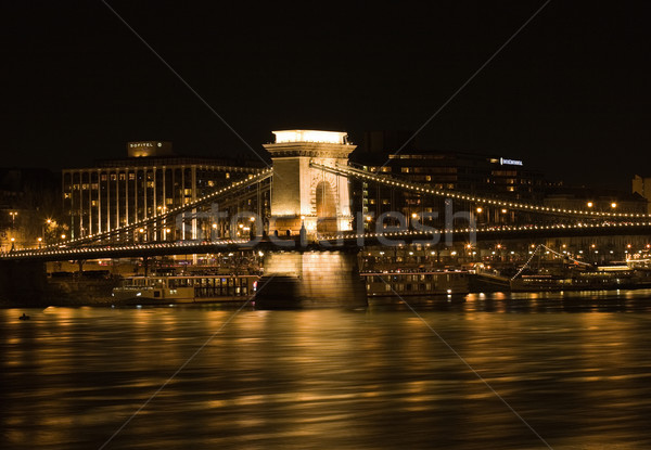 Night in the city. Stock photo © lithian