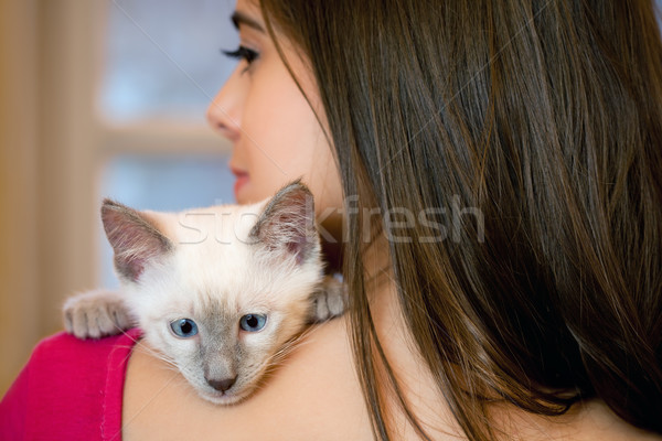 Brunette beauty with cute kitten. Stock photo © lithian