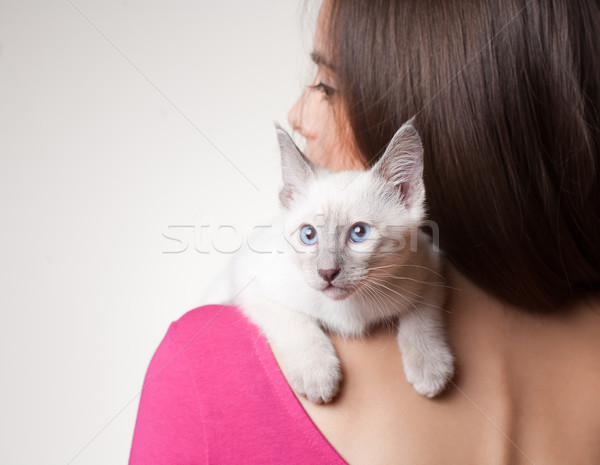 Perfect pet. Stock photo © lithian