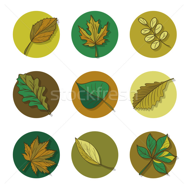 Bladeren icon groen blad bos boom Rood Stockfoto © LittleCuckoo