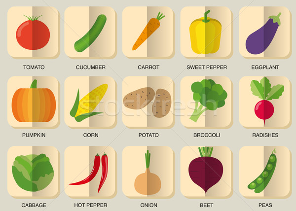 vegetable icon set. The image of vegetables symbol Stock photo © LittleCuckoo