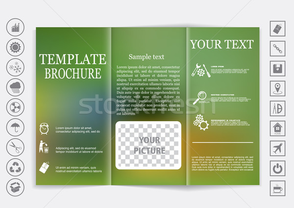 Tri-Fold Brochure mock up vector design. Blur background.  Stock photo © LittleCuckoo