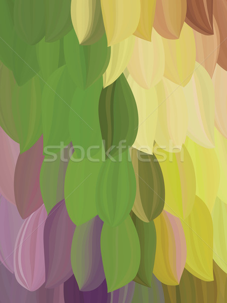 エキゾチック オウム 羽毛 抽象的な フォーム 羽毛 ストックフォト © LittleCuckoo