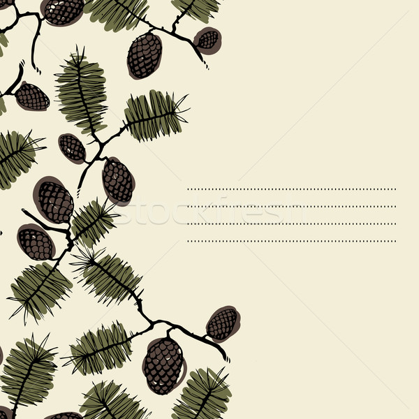 frame for text with fir cone and twig Stock photo © LittleCuckoo