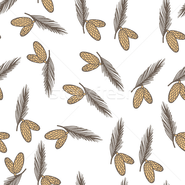 Fir pine cone seamless pattern Stock photo © LittleCuckoo