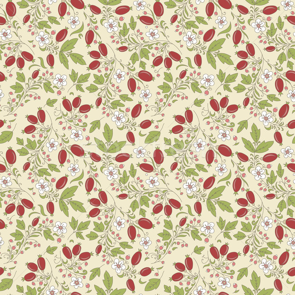 seamless texture barberry on a beige background Stock photo © LittleCuckoo