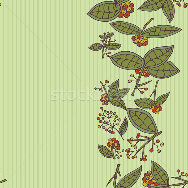 Foto d'archivio: Vettore · confine · pattern · foglie · frutti · di · bosco