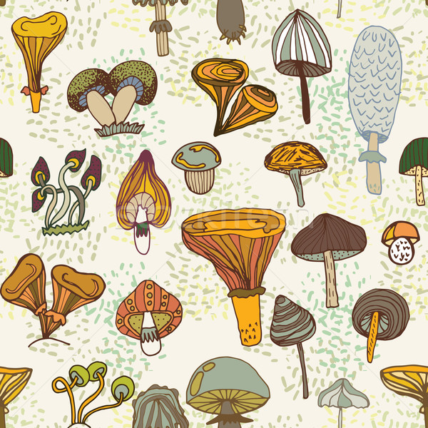 Seamless vector pattern of different mushrooms. Stock photo © LittleCuckoo