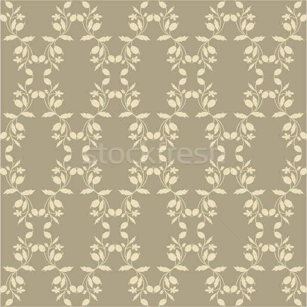 beige floral wallpaper Stock photo © LittleCuckoo