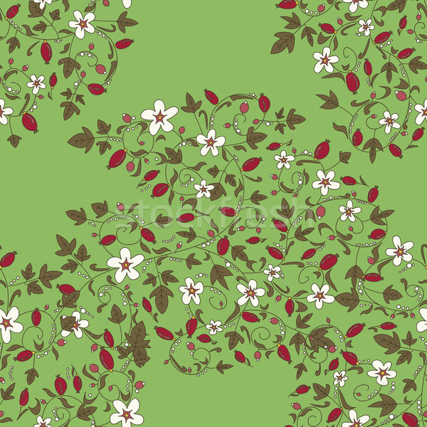 barberry pattern. seamless floral texture with berries Stock photo © LittleCuckoo