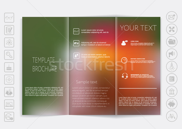 Tri-Fold Brochure mock up vector design Stock photo © LittleCuckoo