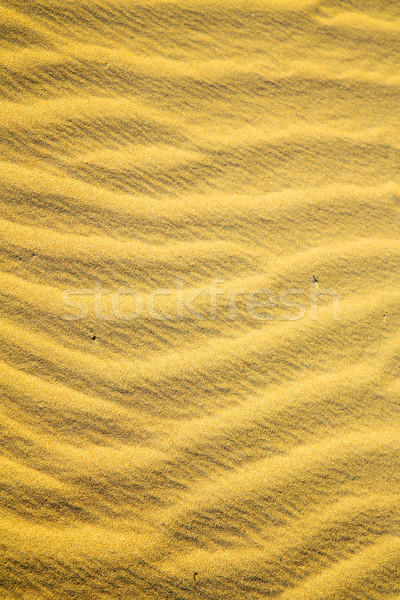 коричневый дюна песчаная дюна Сахара Марокко пустыне Сток-фото © lkpro