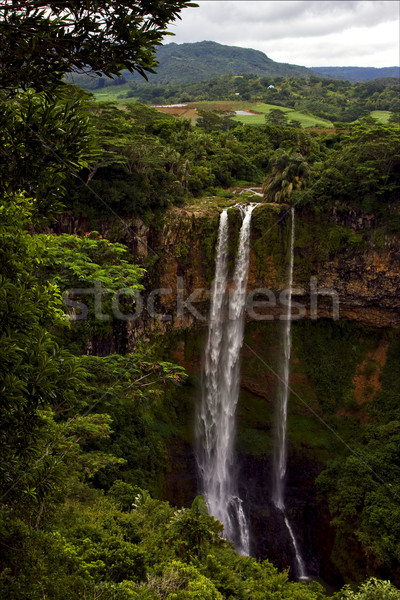 Mauritius természet festői Stock fotó © lkpro