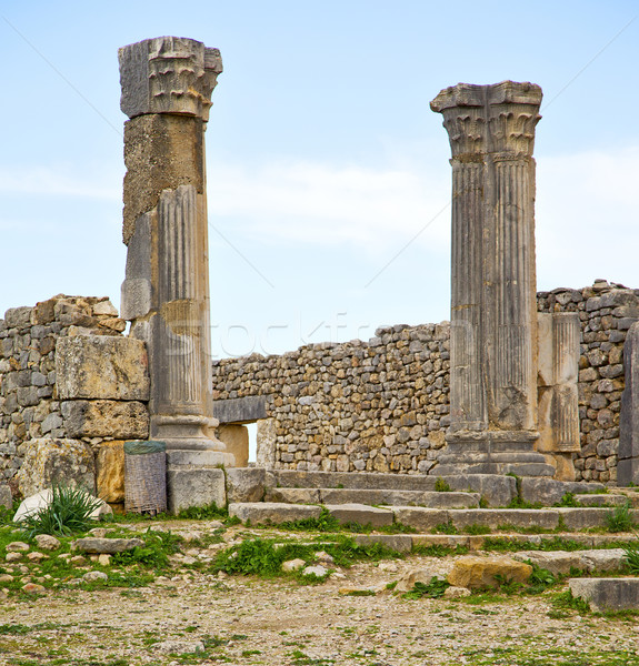 volubilis in morocco africa the old roman deteriorated monument  Stock photo © lkpro