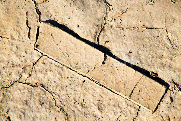 Bruin drogen zand hout abstract sahara Stockfoto © lkpro