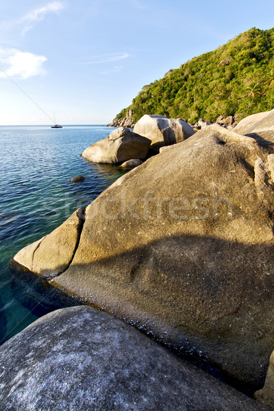 stone in thailand kho tao bay abstract of a blue lagoon    south Stock photo © lkpro