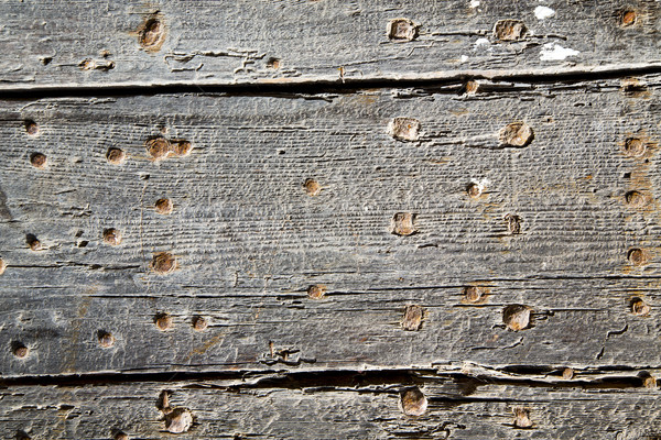 nail dirty stripped paint in   wood  and rusty red Stock photo © lkpro