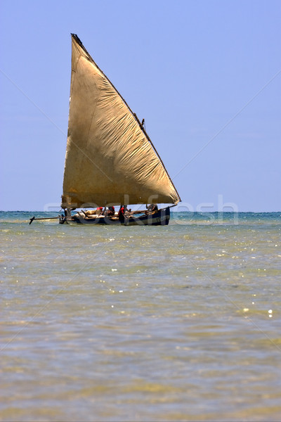 商业照片: 帆船 · 马达加斯加 ·海·船·鱼