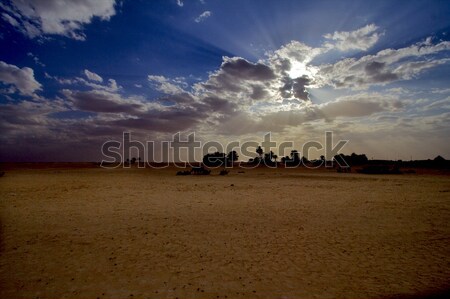 Nubes sáhara desierto palma arena nube Foto stock © lkpro