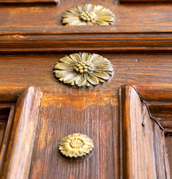 abstract  rusty brass brown knocker gallarate varese  Stock photo © lkpro