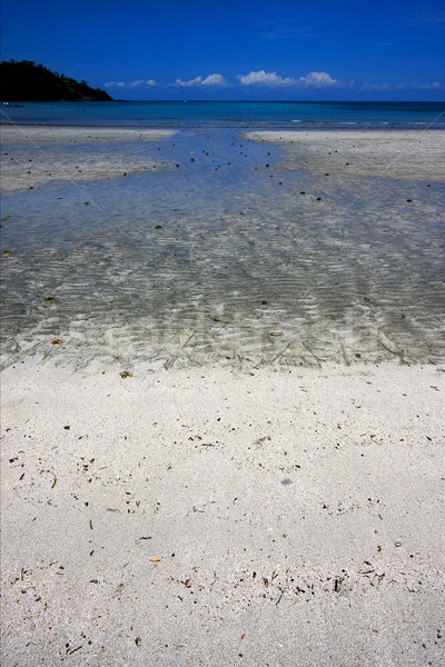 Plaży wścibski Madagaskar piasku niebo Zdjęcia stock © lkpro