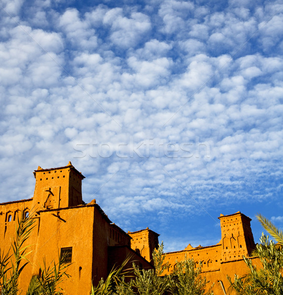 africa in morocco the old contruction and the historical village Stock photo © lkpro