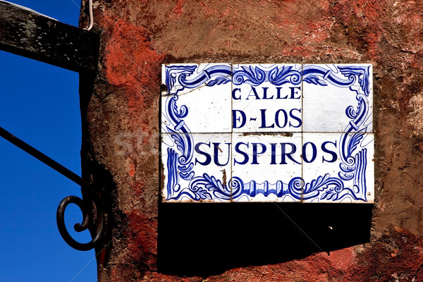 plant and a wall in calle de los suspiros Stock photo © lkpro