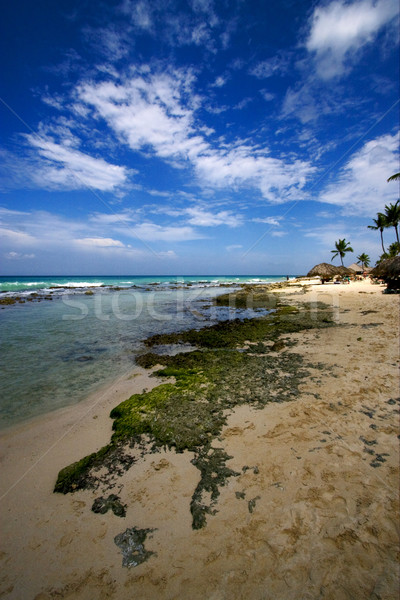 пляж рок каменные кабины Palm воды Сток-фото © lkpro