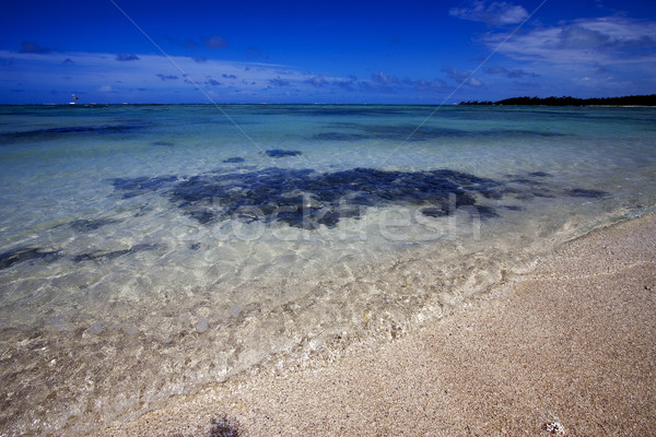beach  in ile du cerfs mauritius Stock photo © lkpro