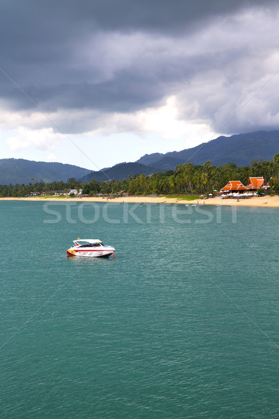  blue lagoon  stone in thailand kho tao bay rain Stock photo © lkpro