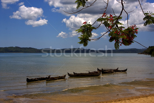 Tak boot palm kustlijn Madagascar hemel Stockfoto © lkpro