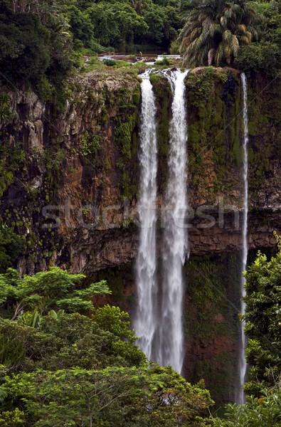 chamarel falls  Stock photo © lkpro