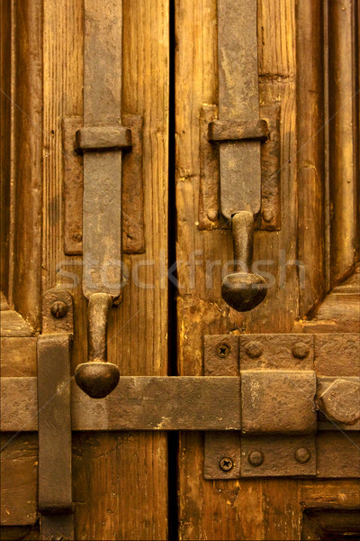 brown iron safety lock  Stock photo © lkpro