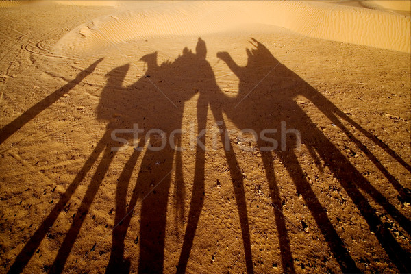 Desierto personas verde negro nube blanco Foto stock © lkpro